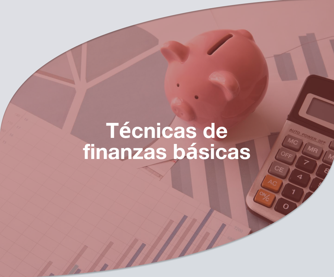 TÉCNICAS DE FINANZAS BÁSICAS